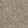 Sahara sand