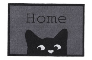 Impression home cat