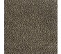 Shannon beige 120x2500 017 Rol - MD Entree